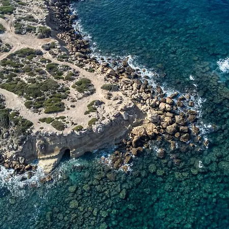 فيلة Grand Baci *